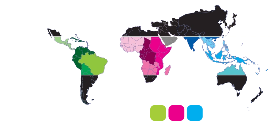 1543 Pashas & Coffees