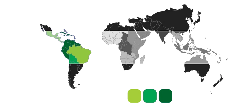 1543 Pashas & Coffees