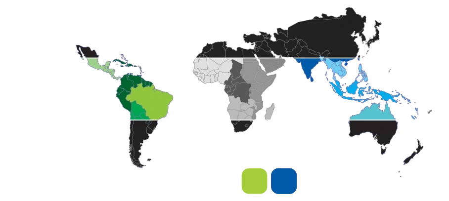 1543 Pashas & Coffees