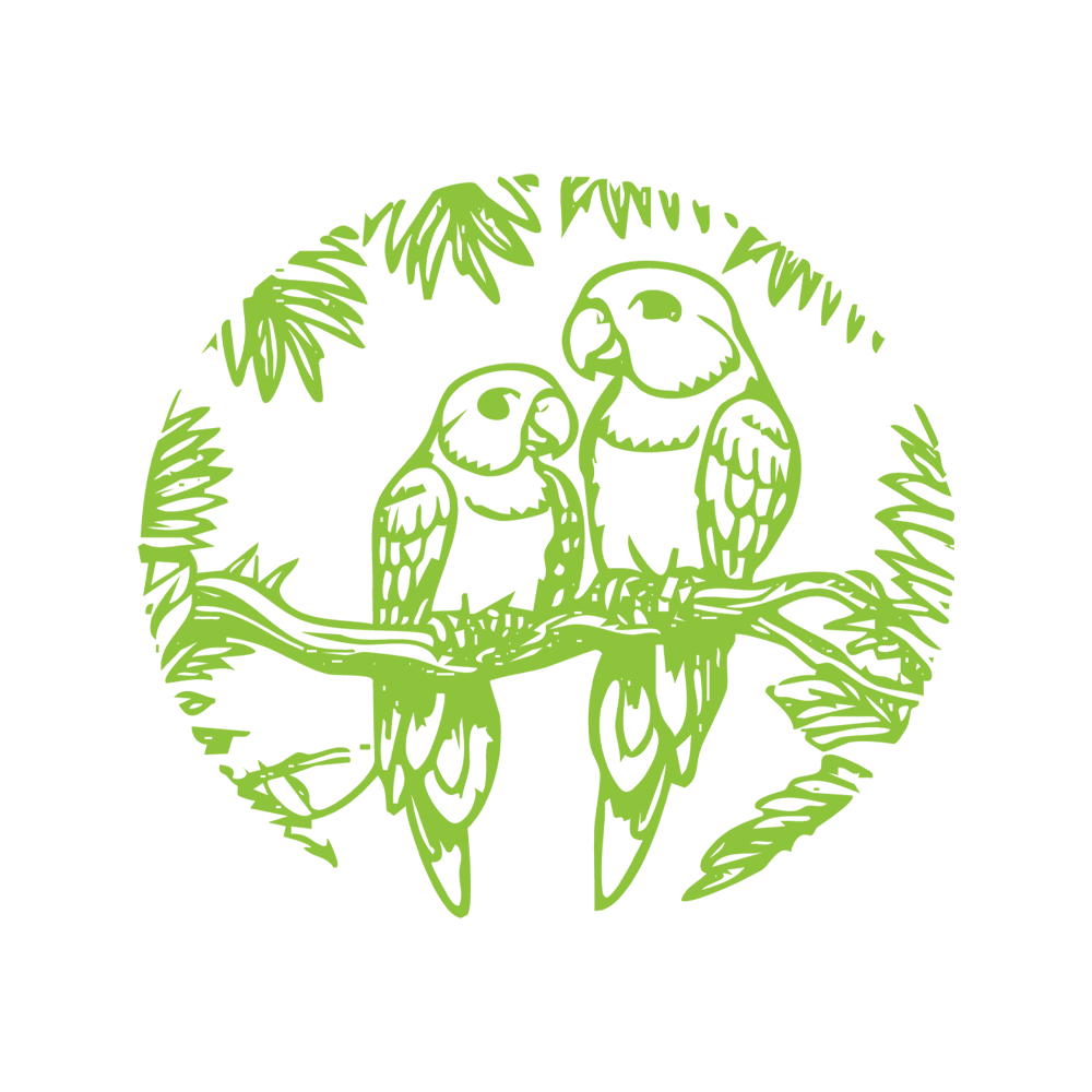 1543 Pashas & Coffees